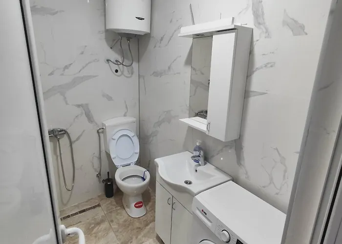 Hera * 贝尔格莱德